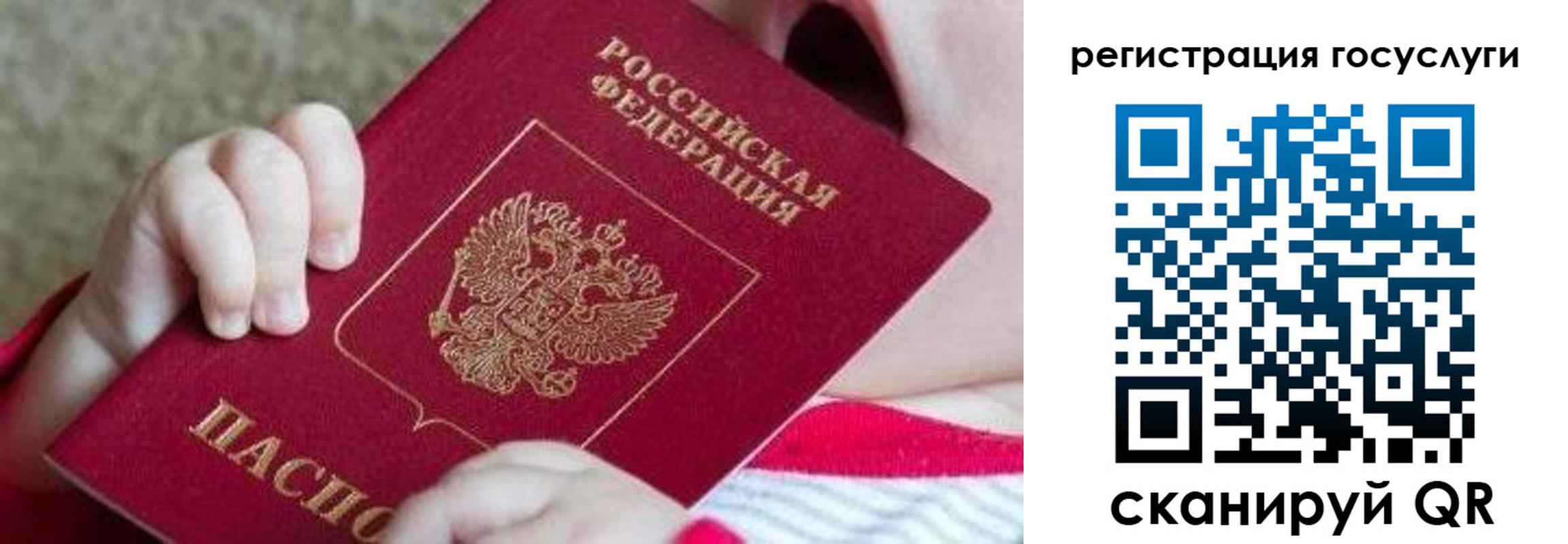 регистрация для школы в Волхове